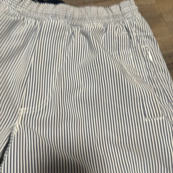 Men's Birddogs Striped Shorts - Picture 2 of 7